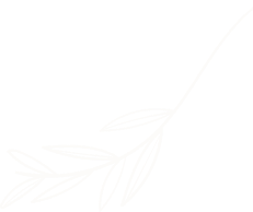 jiuyou